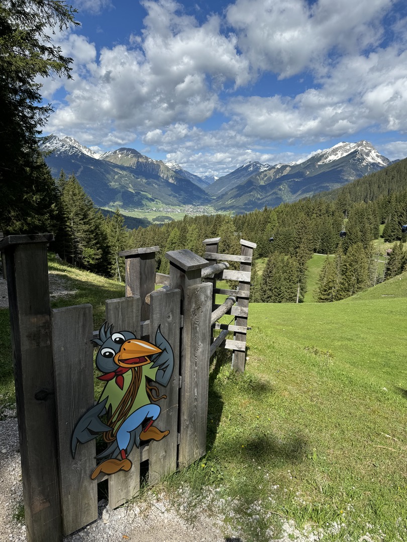 Almsee Runde - Ehrwald - Galeriebild 5