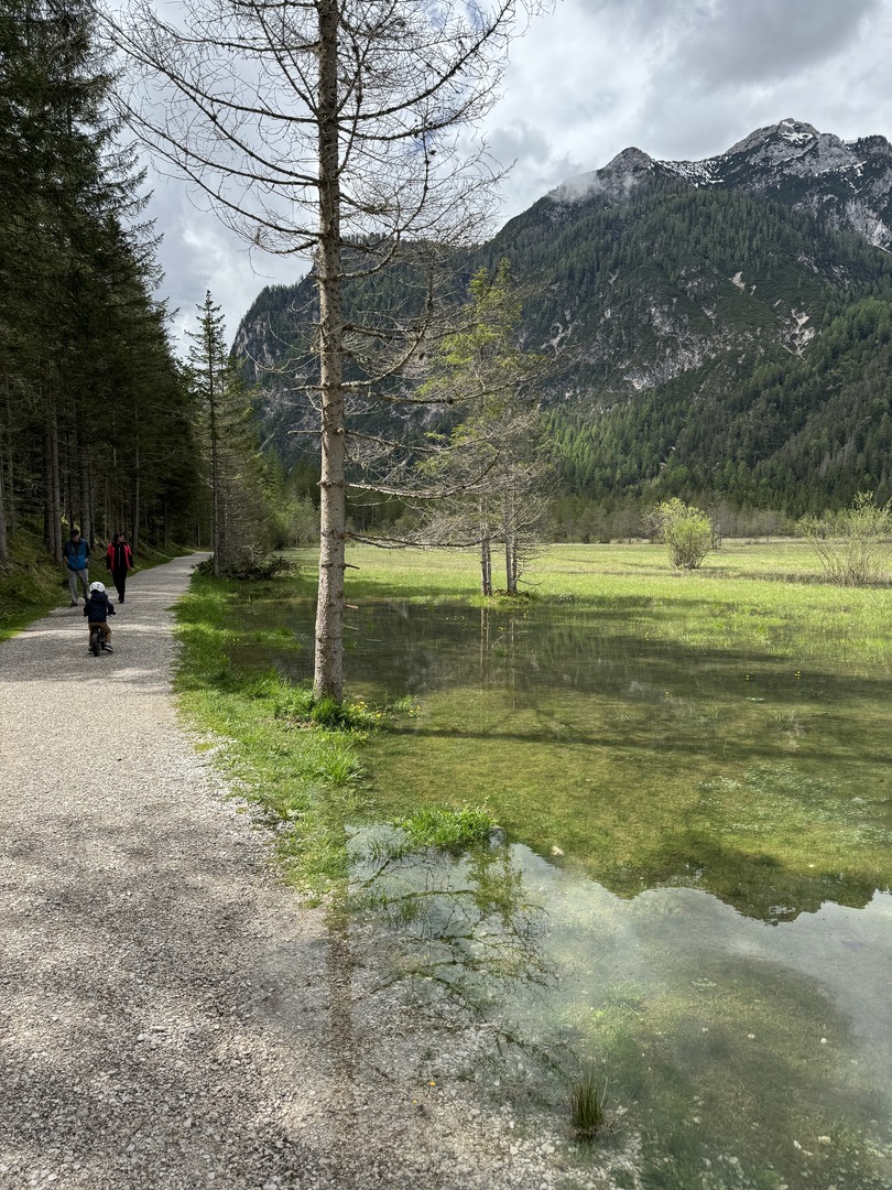 Toblacher See - Galeriebild 11