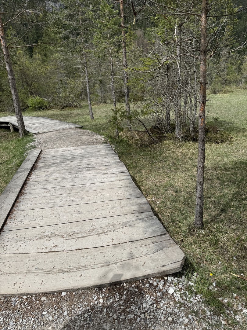 Toblacher See - Galeriebild 13
