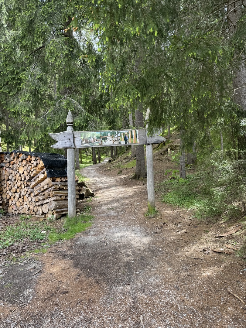 Baumdorf Toblach - Galeriebild 2