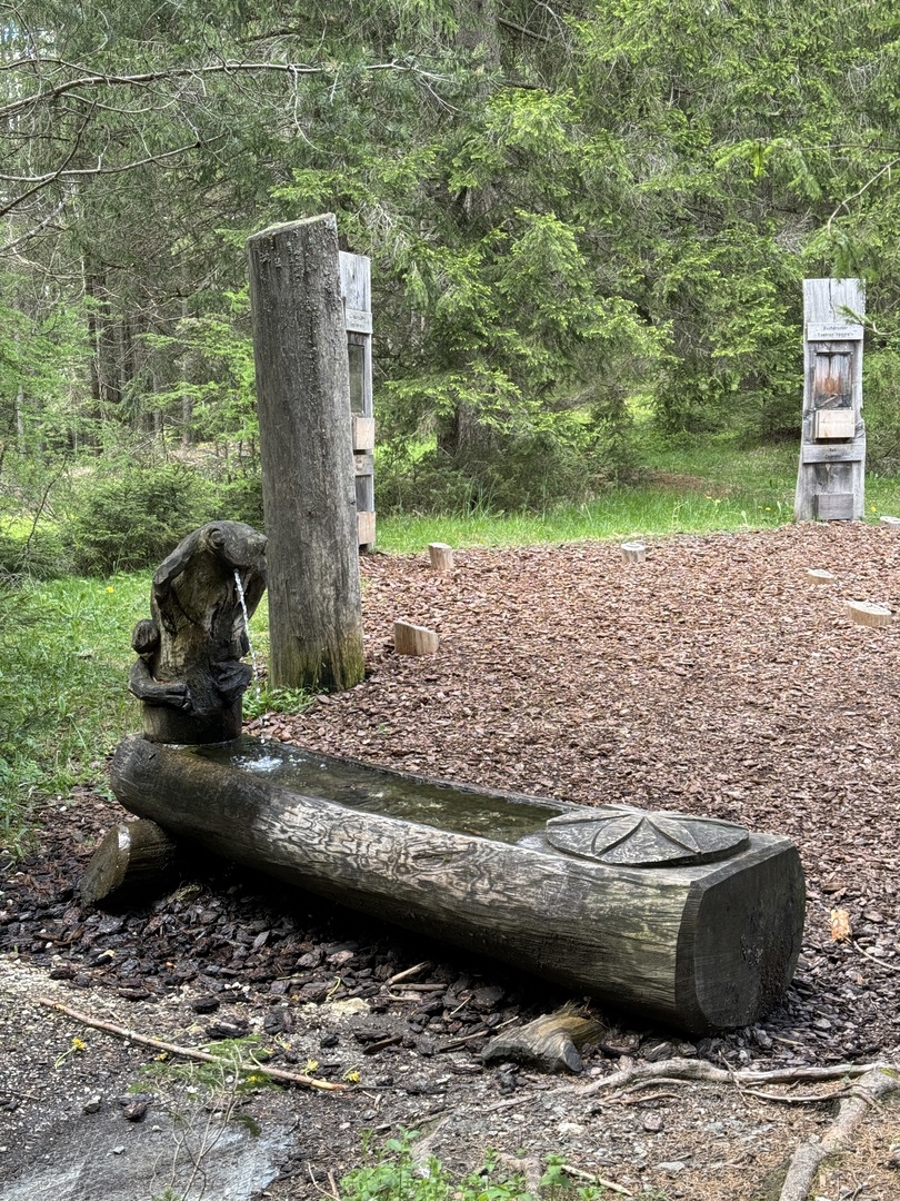 Baumdorf Toblach - Galeriebild 4