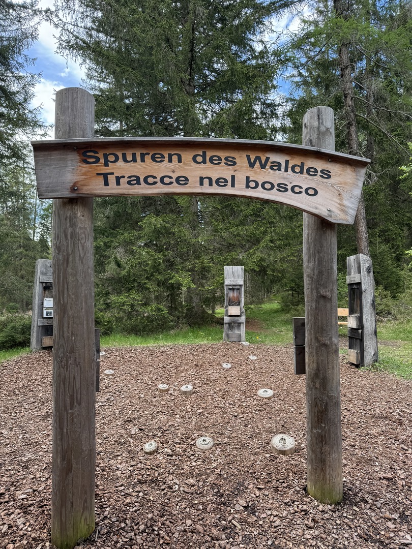 Baumdorf Toblach - Galeriebild 5