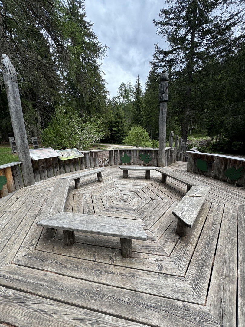 Baumdorf Toblach - Galeriebild 6
