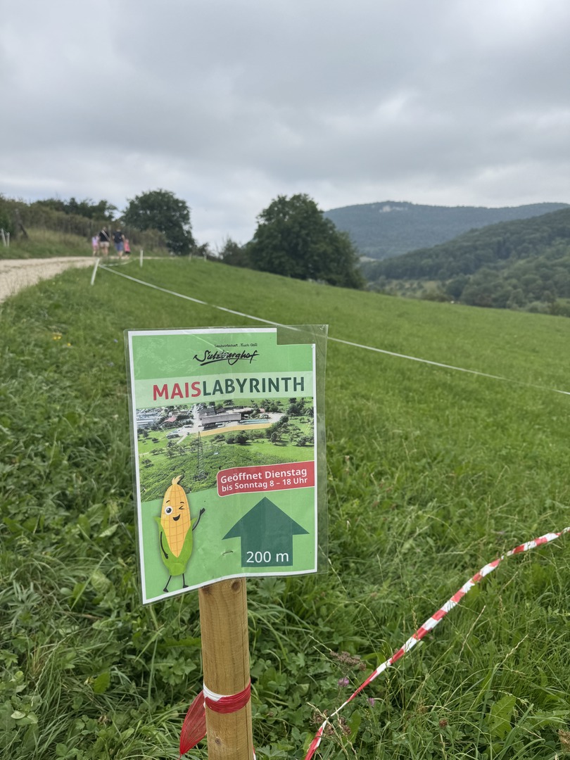 Maislabyrinth Sulzburghof - Galeriebild 11