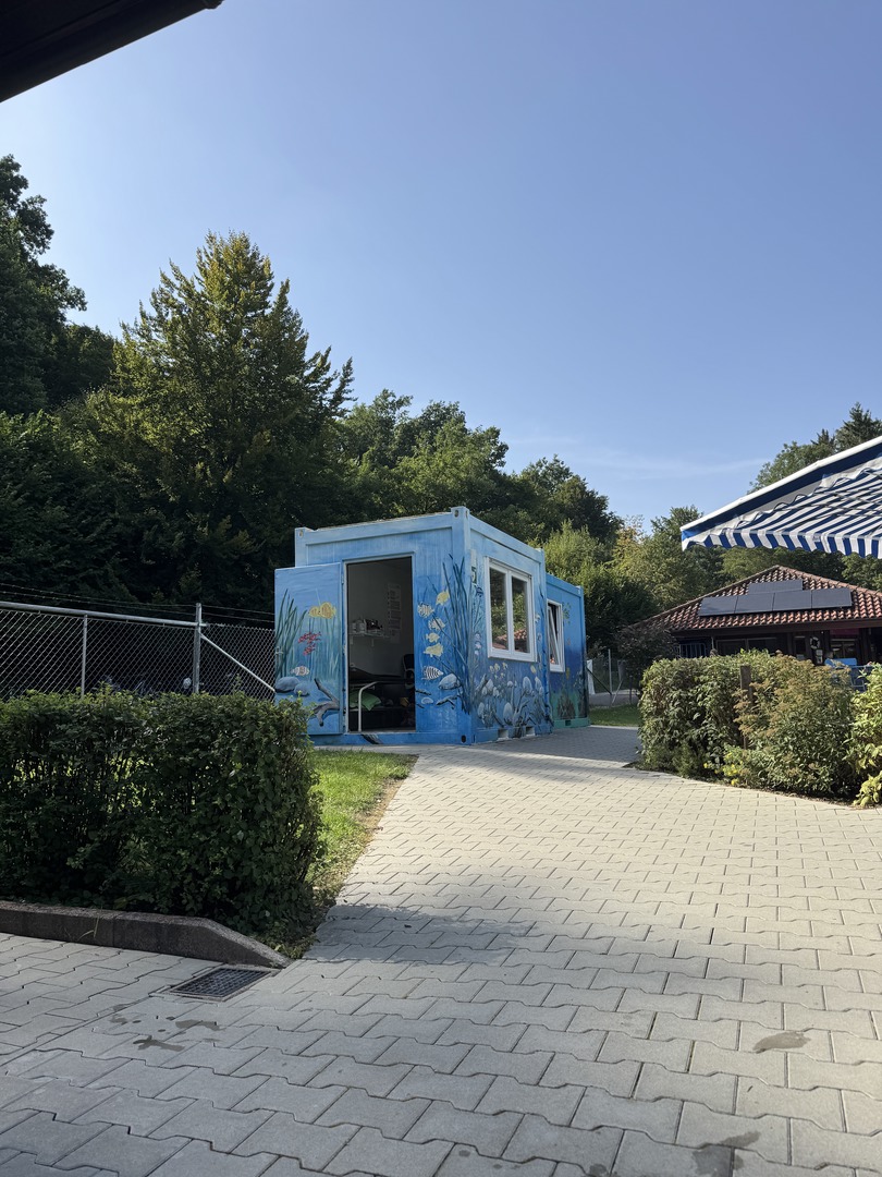 Freibad Schönaich - Galeriebild 6