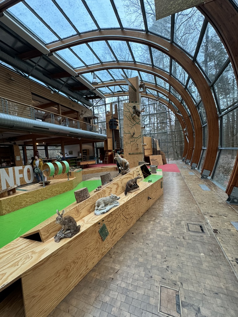 Haus des Waldes Stuttgart - Galeriebild 13