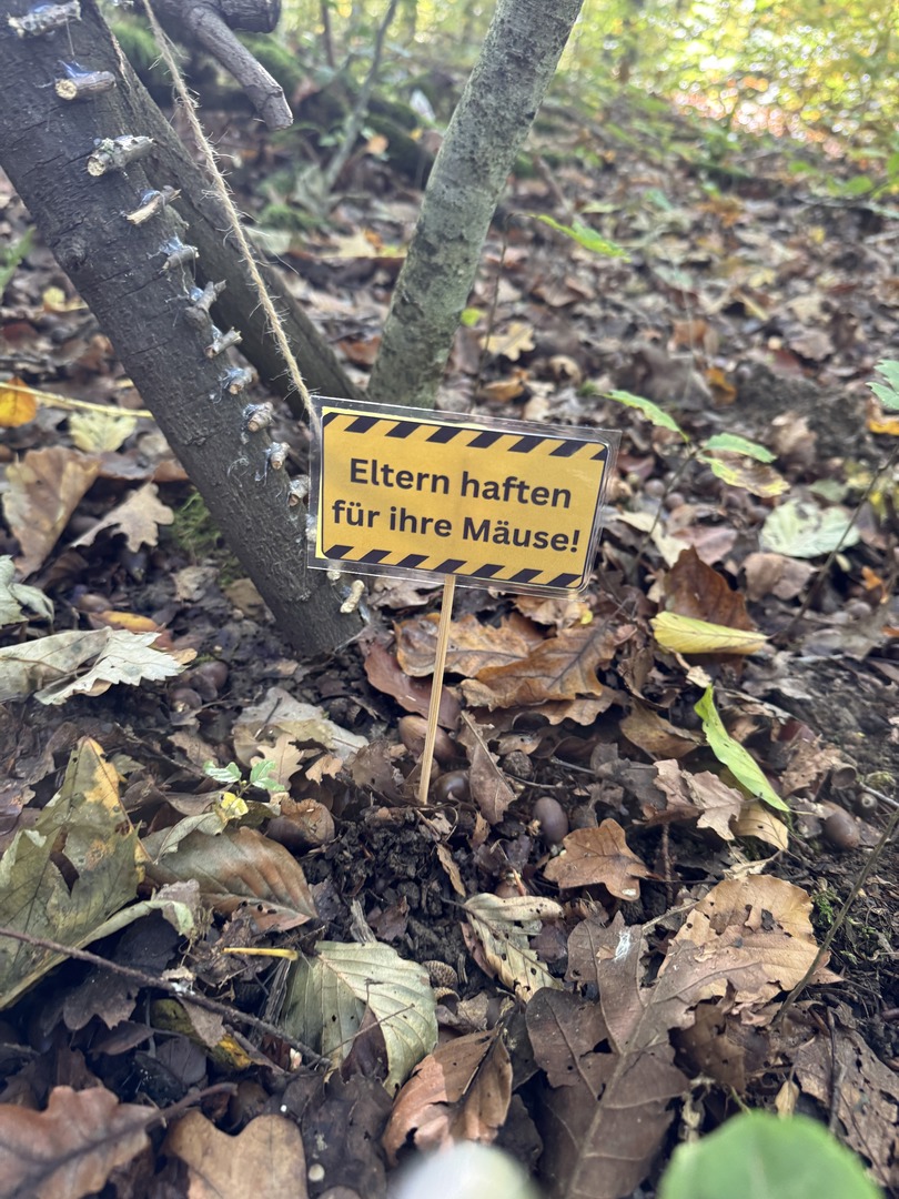 Mäusepfad Mäusingen Metzingen 2025 - Galeriebild 3