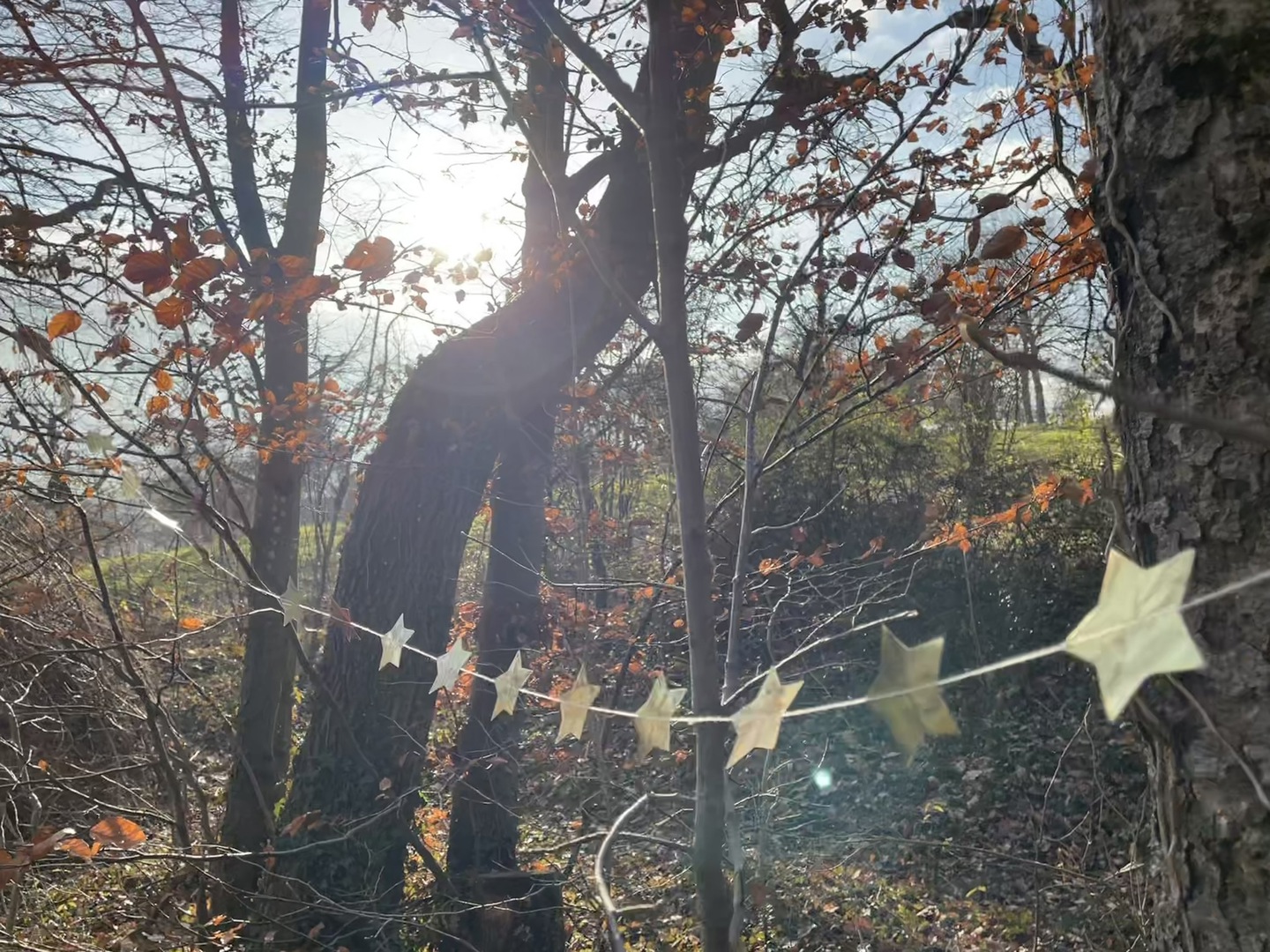 Wichtelwald Großbettlingen - Galeriebild 13