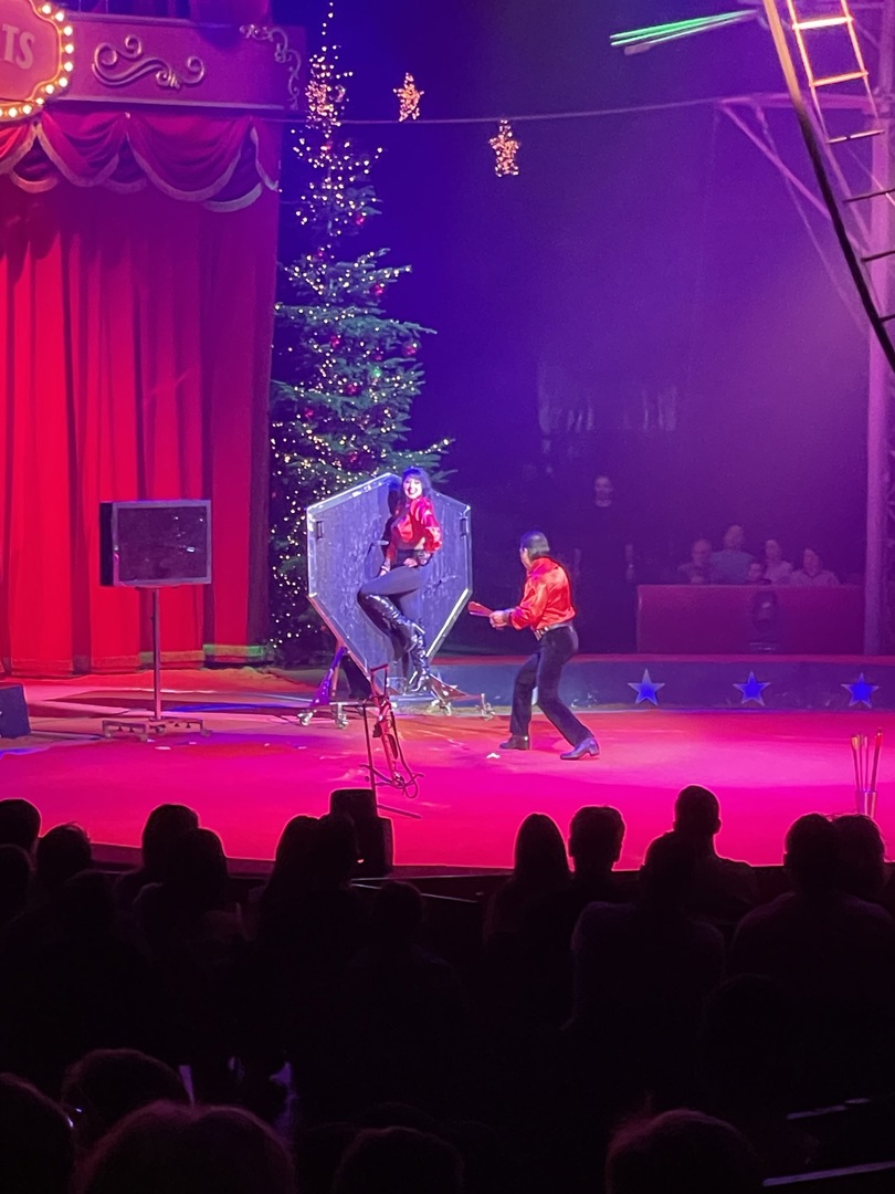 Weltweihnachtscirkus Stuttgart 2022 - Galeriebild 4