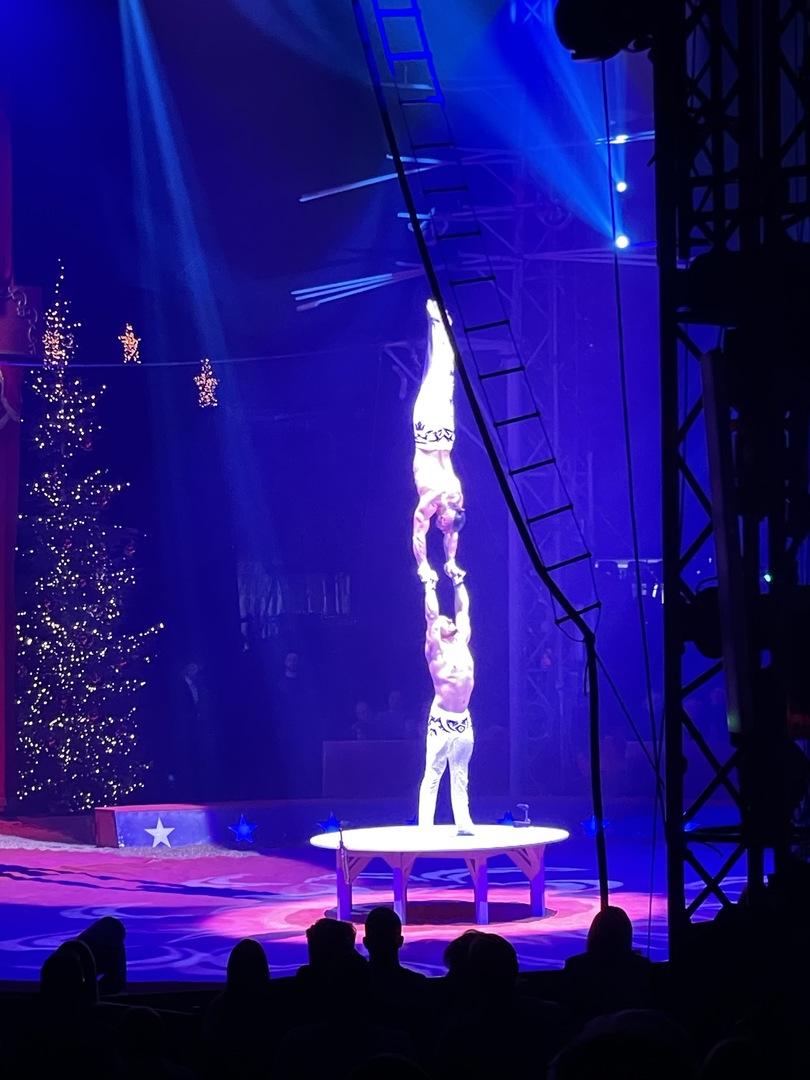 Weltweihnachtscirkus Stuttgart 2022 - Galeriebild 8