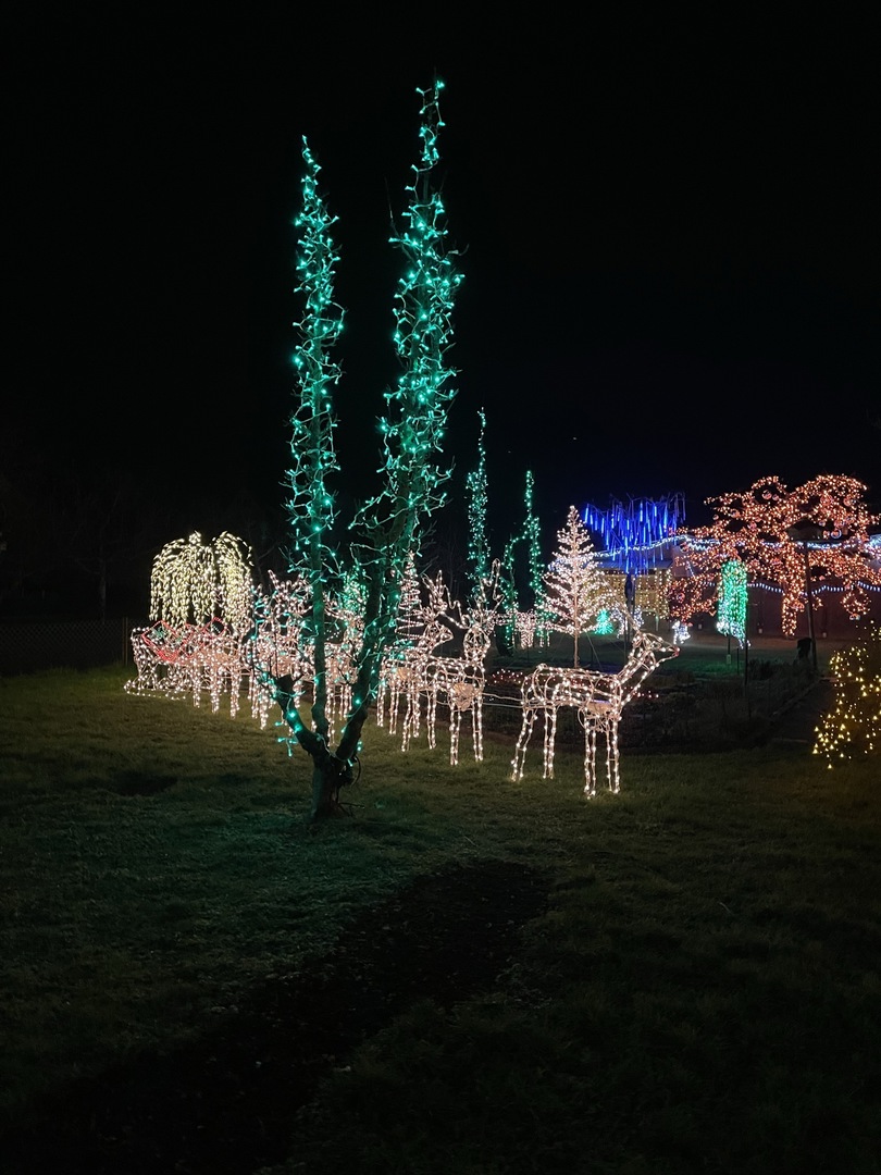Weihnachtshäuser Rübgarten - Galeriebild 2