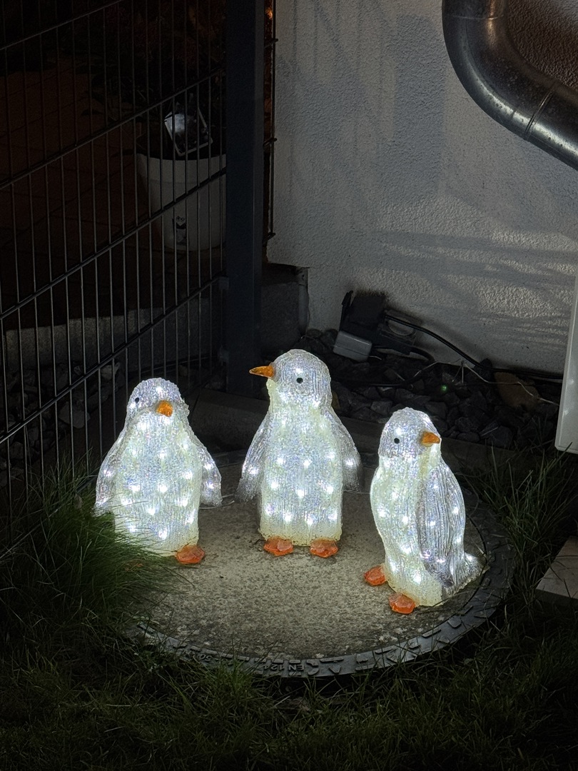 Weihnachtshäuser Rübgarten - Galeriebild 4