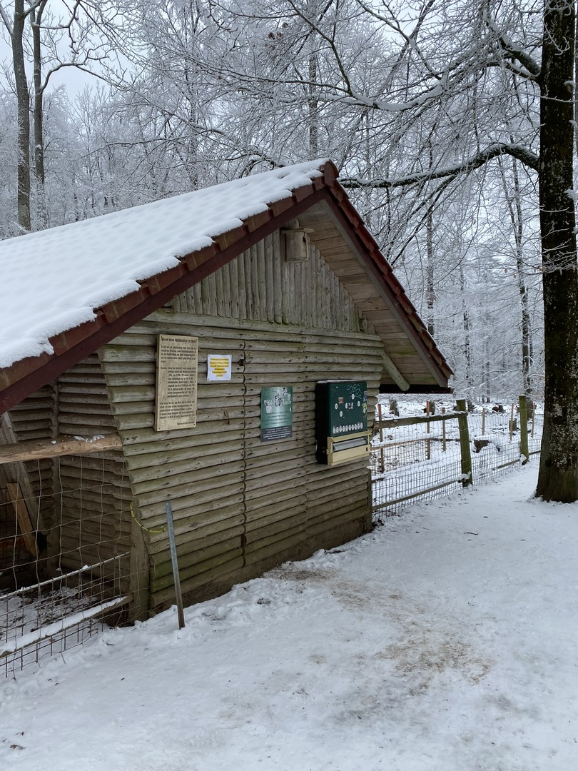 Wildgehege Laichingen - Galeriebild 1
