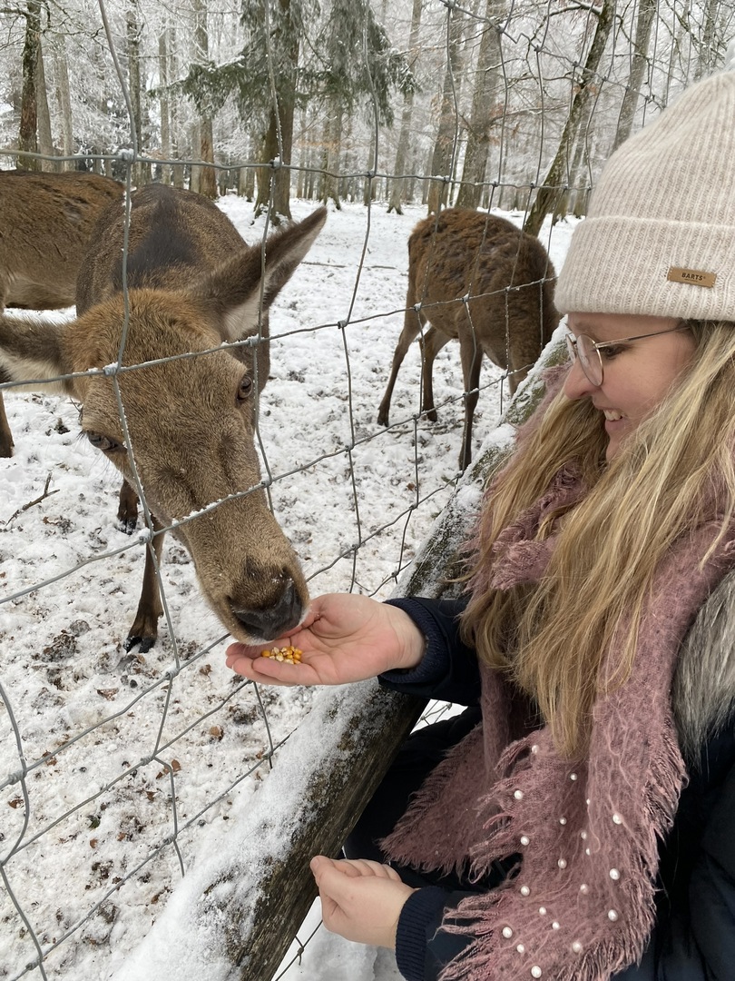 Wildgehege Laichingen - Galeriebild 5