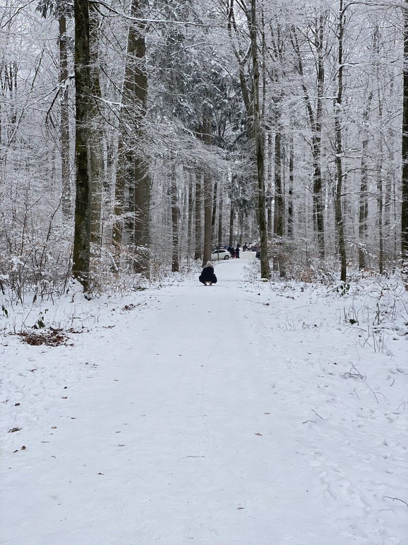 Wildgehege Laichingen - Galeriebild 7