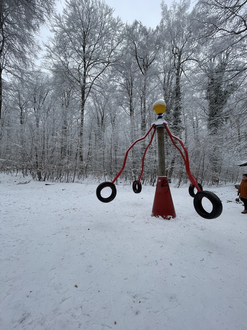 Wildgehege Laichingen - Galeriebild 8