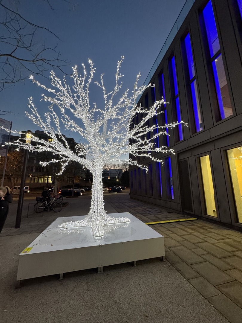 Weihnachtsmarkt Reutlingen  - Galeriebild 7