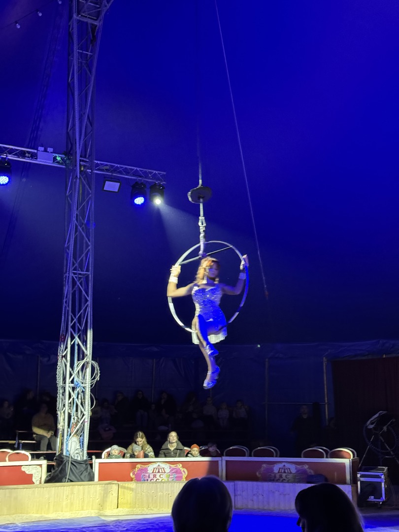 Weihnachtscircus Nürtingen 2024 - Galeriebild 3