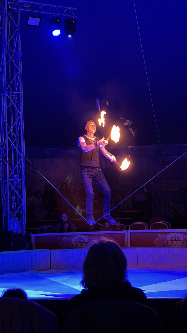 Weihnachtscircus Nürtingen 2024 - Galeriebild 5