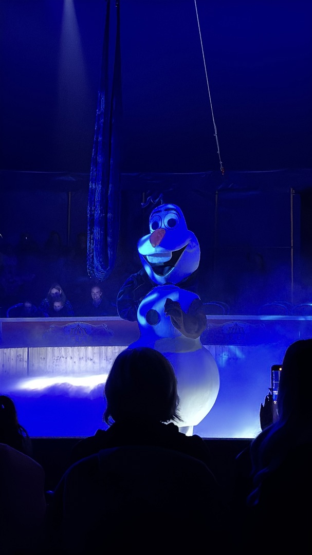 Weihnachtscircus Nürtingen 2024 - Galeriebild 6