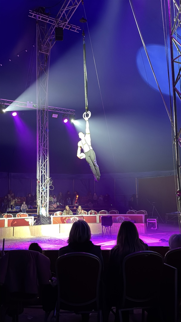 Weihnachtscircus Nürtingen 2024 - Galeriebild 10