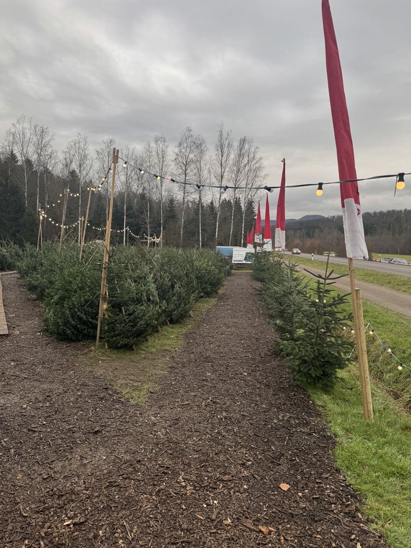 Tannenhof Kaplick - Galeriebild 14