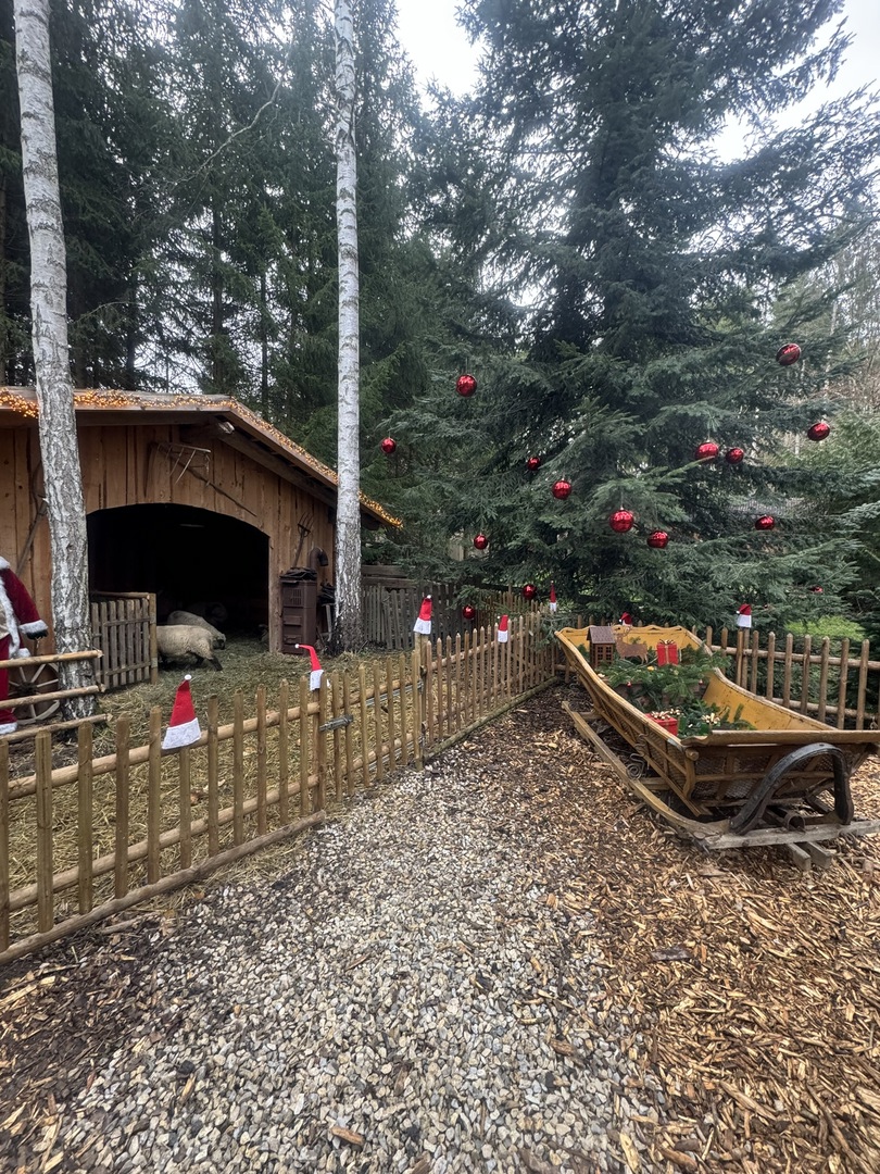 Tannenhof Kaplick - Galeriebild 3