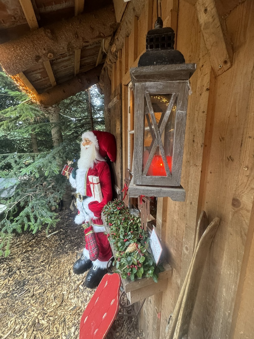 Tannenhof Kaplick - Galeriebild 4