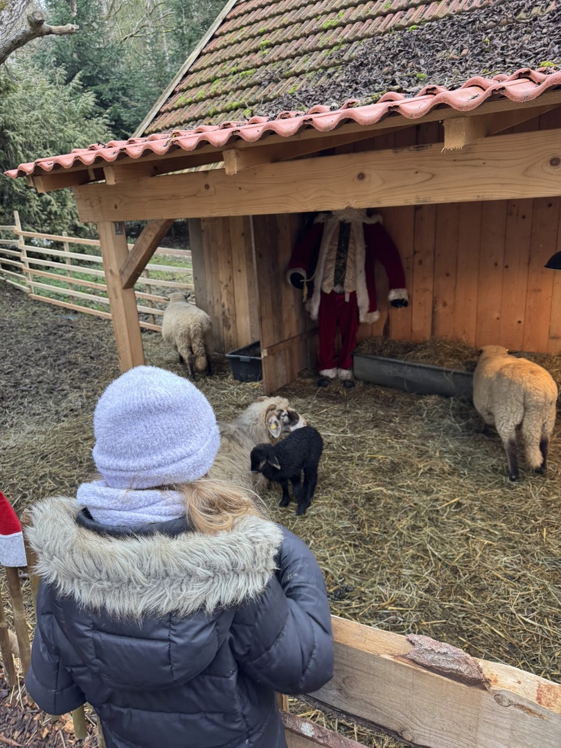 Tannenhof Kaplick - Galeriebild 5