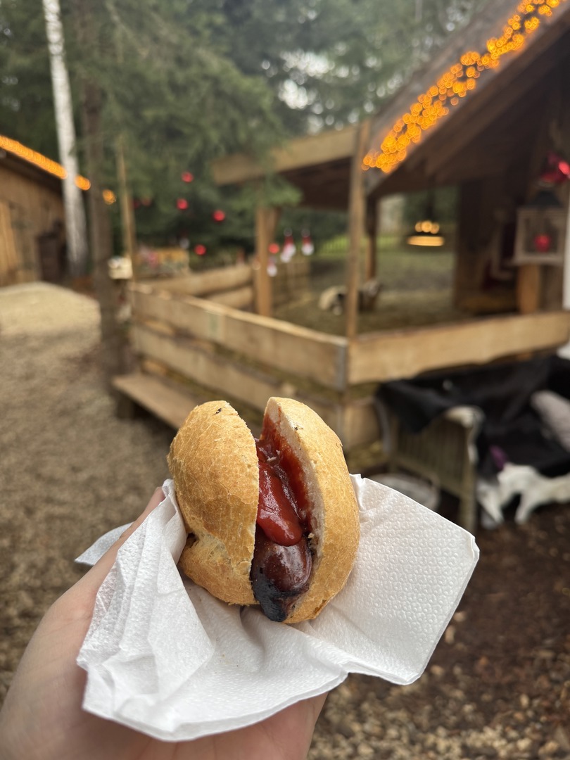 Tannenhof Kaplick - Galeriebild 10