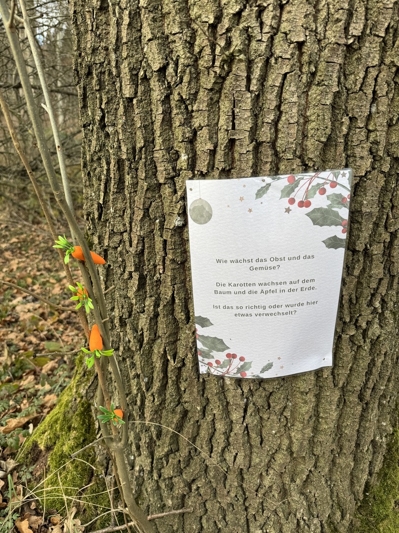 Wichtelpfad Bempflingen  - Galeriebild 3