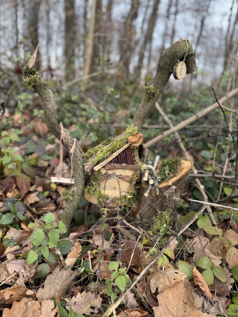 Bergwald Wichtelweg Ohmden 2024 - Galeriebild 1