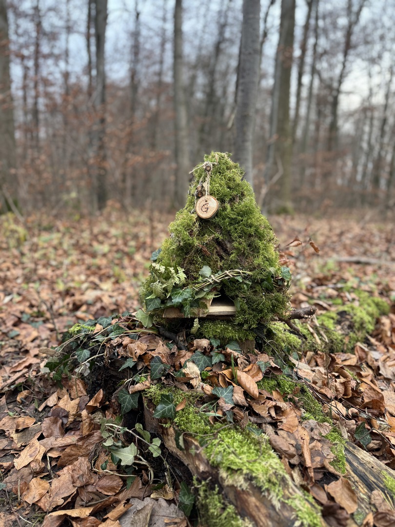 Bergwald Wichtelweg Ohmden 2024 - Galeriebild 2