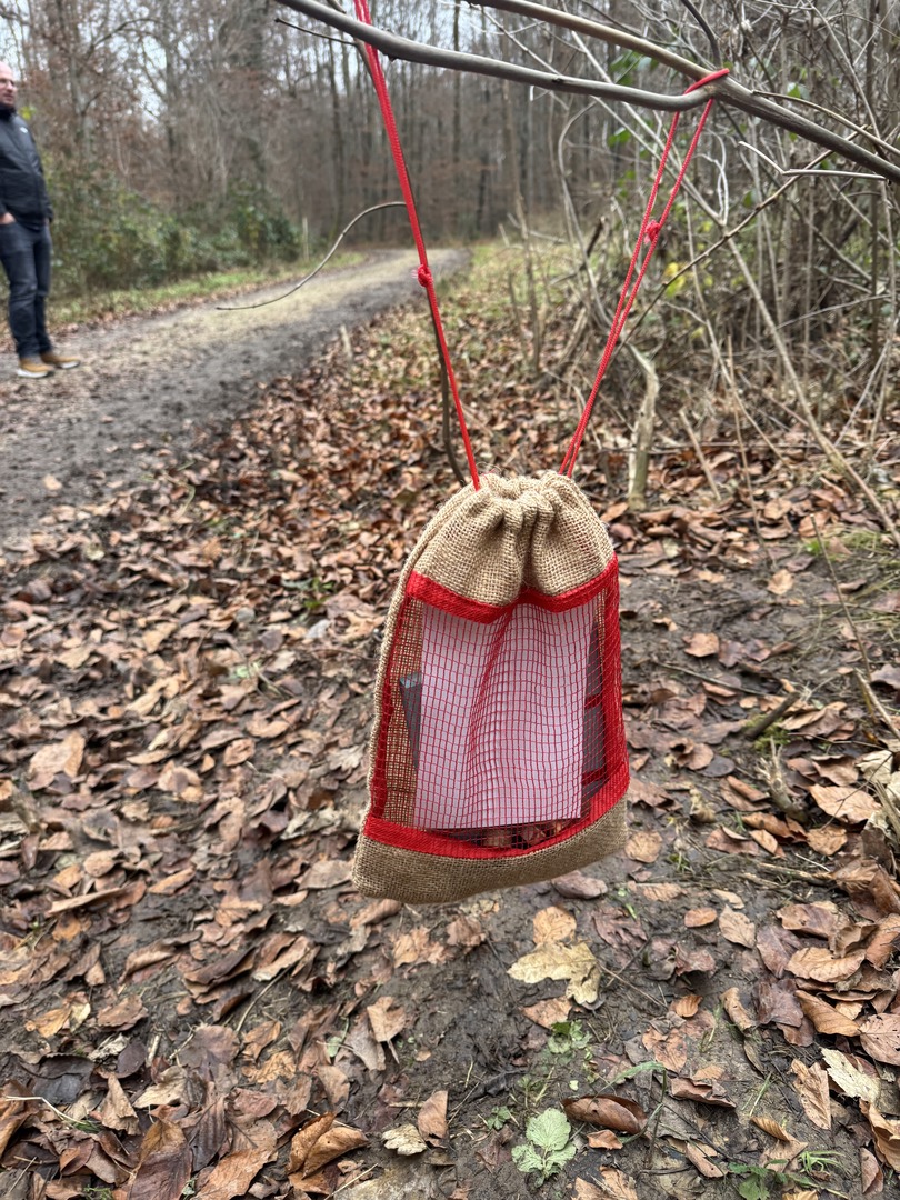 Bergwald Wichtelweg Ohmden 2024 - Galeriebild 13