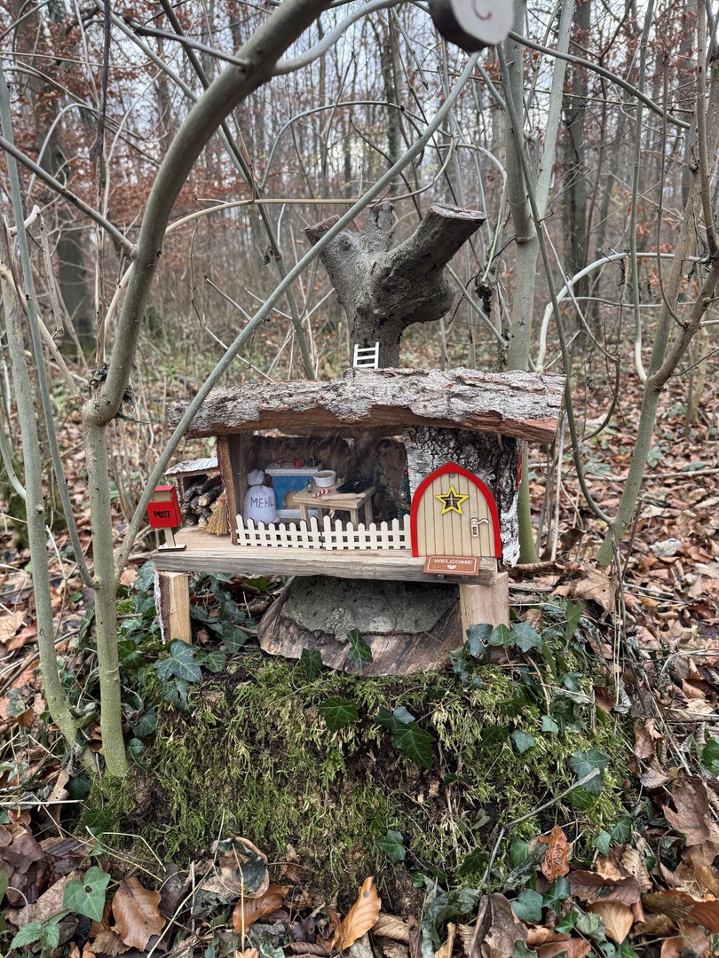 Bergwald Wichtelweg Ohmden 2024 - Galeriebild 16