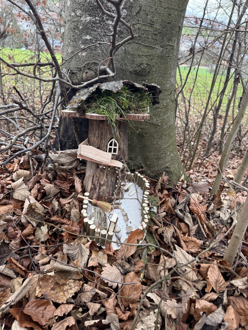 Bergwald Wichtelweg Ohmden 2024 - Galeriebild 18