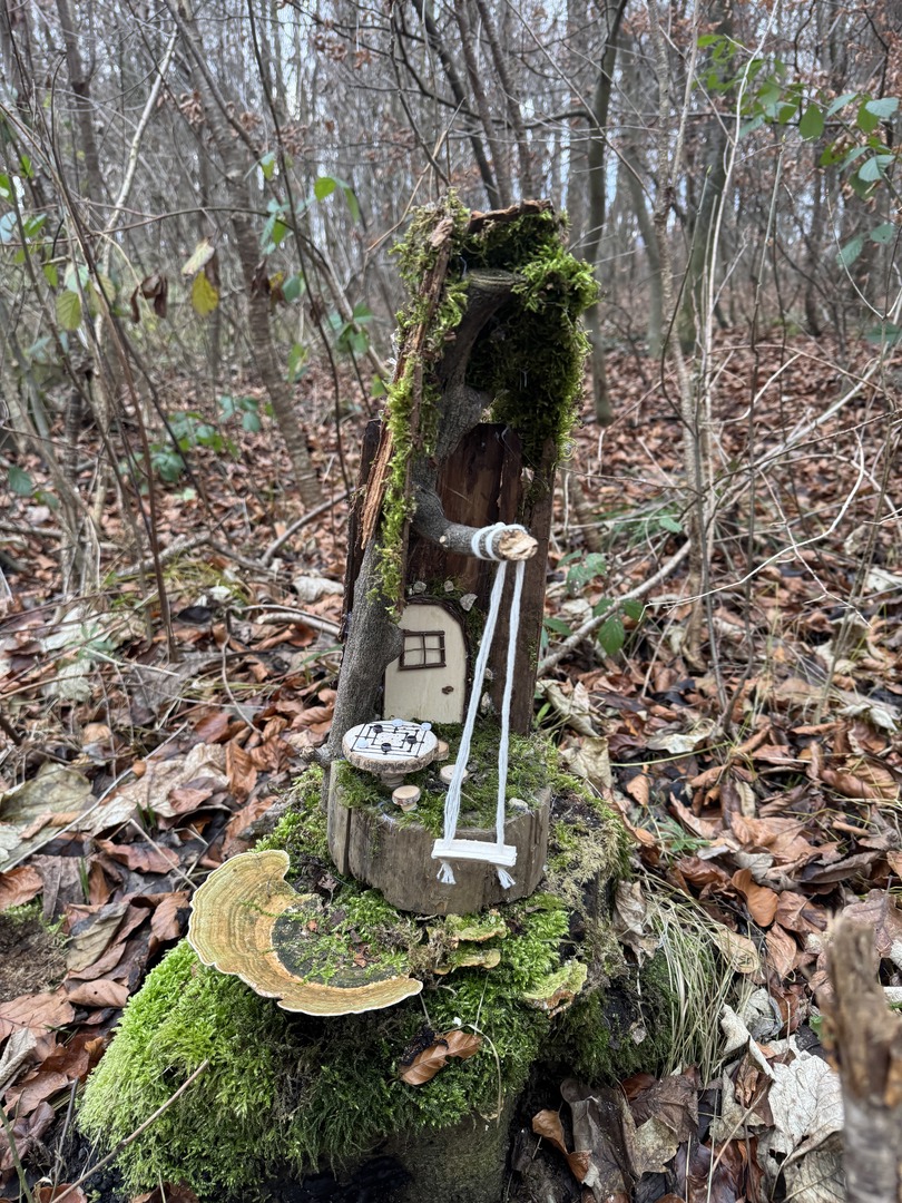 Bergwald Wichtelweg Ohmden 2024 - Galeriebild 3