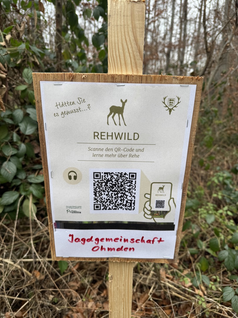 Bergwald Wichtelweg Ohmden 2024 - Galeriebild 4