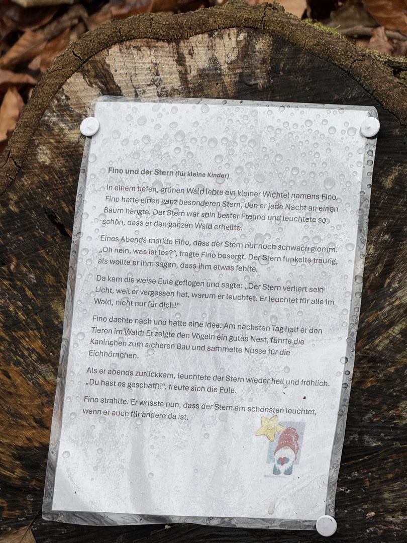 Bergwald Wichtelweg Ohmden 2024 - Galeriebild 5