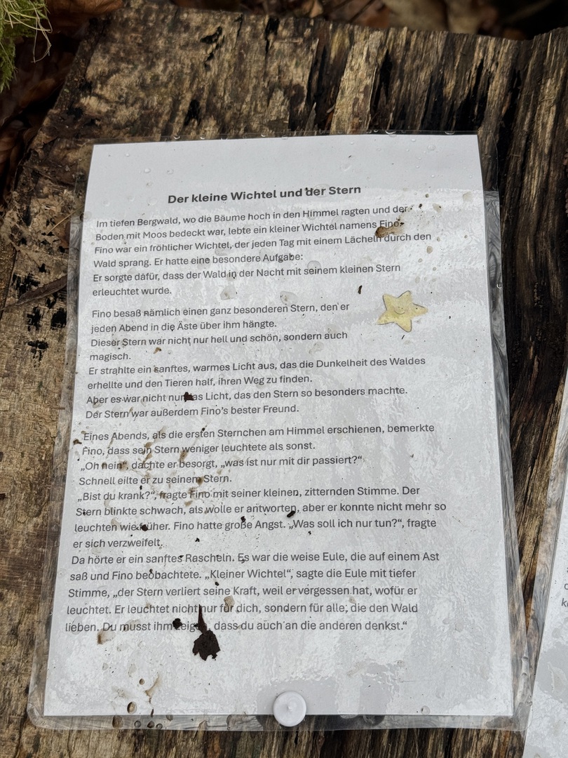 Bergwald Wichtelweg Ohmden 2024 - Galeriebild 6