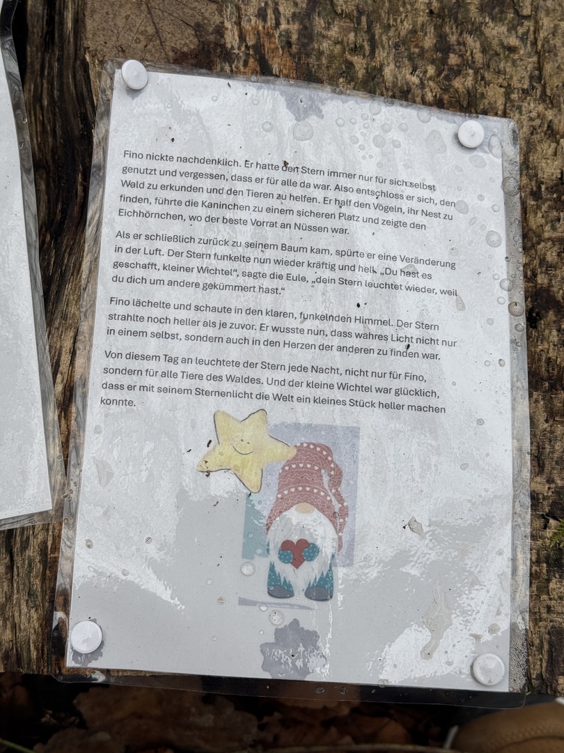 Bergwald Wichtelweg Ohmden 2024 - Galeriebild 7