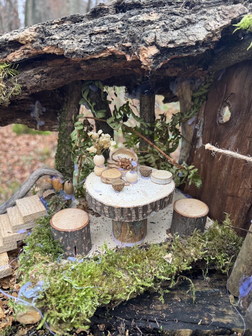 Bergwald Wichtelweg Ohmden 2024 - Galeriebild 8