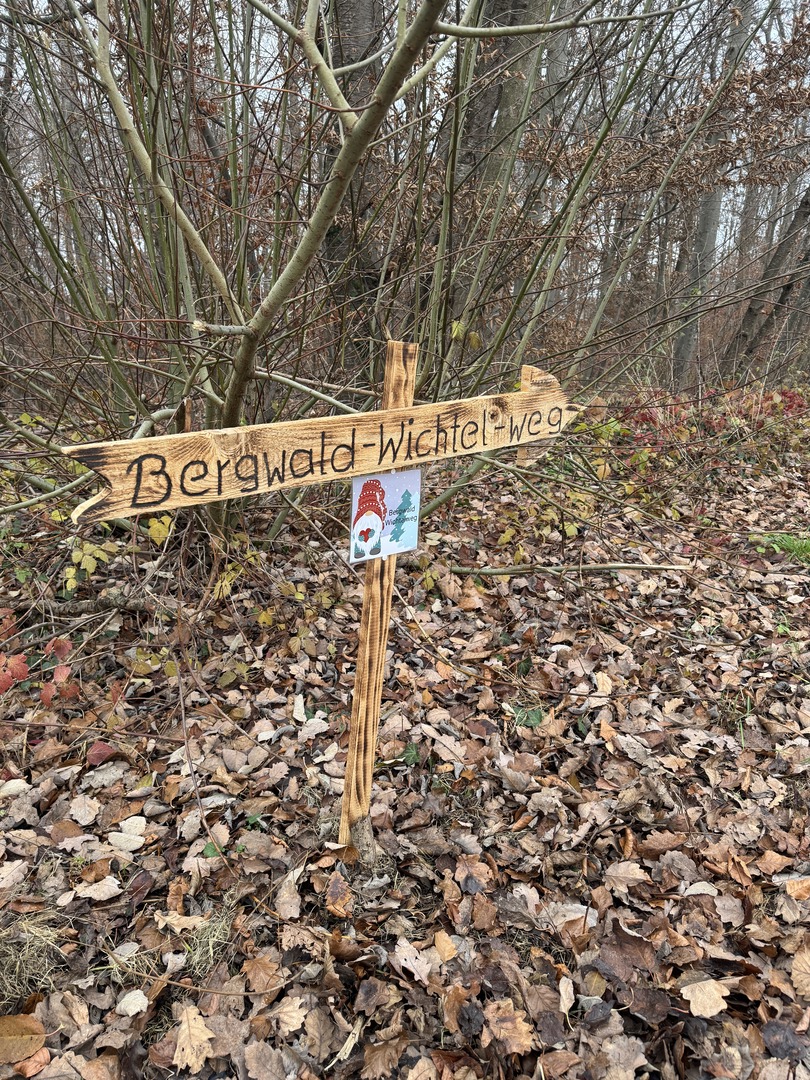 Bergwald Wichtelweg Ohmden 2024 - Galeriebild 9