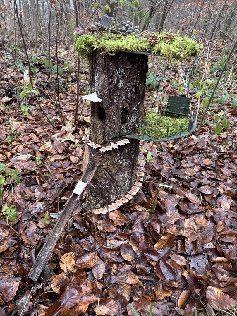 Wichtelwald Ohmden 2025 - Galeriebild 12