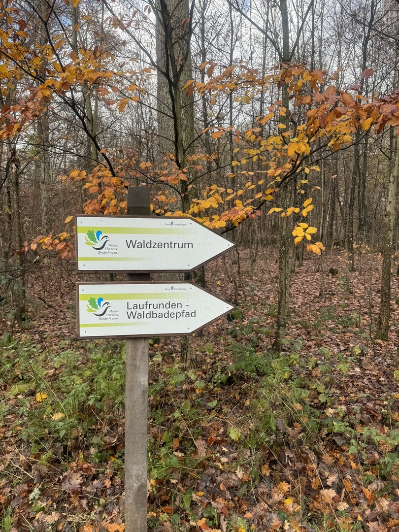 Vogelbeobachtungshaus Sindelfingen - Galeriebild 2