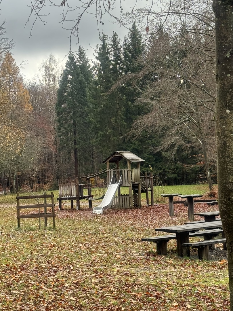 Vogelbeobachtungshaus Sindelfingen - Galeriebild 4