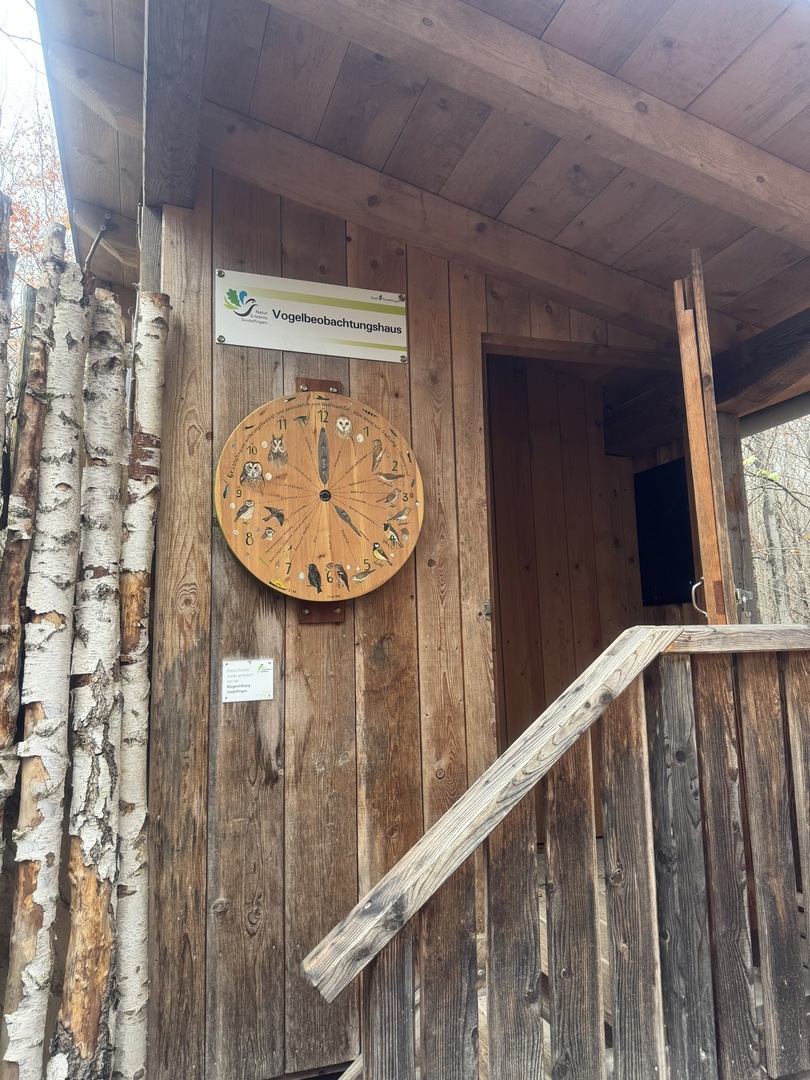Vogelbeobachtungshaus Sindelfingen - Galeriebild 6