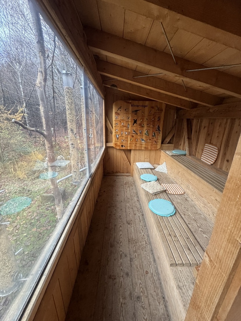 Vogelbeobachtungshaus Sindelfingen - Galeriebild 8