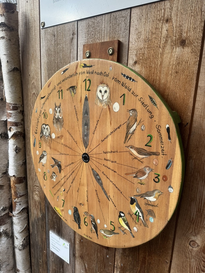 Vogelbeobachtungshaus Sindelfingen - Galeriebild 9