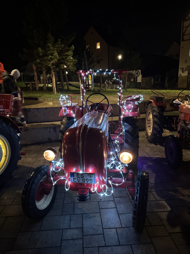 Lichterfahrt Stuttgart-Hofen - Galeriebild 7